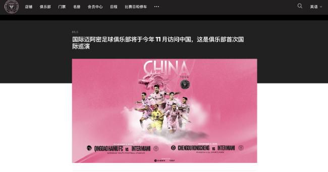 国内精品久久久久
